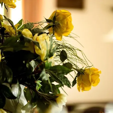 Bergwiesen - Mit Balkon Oder Terasse