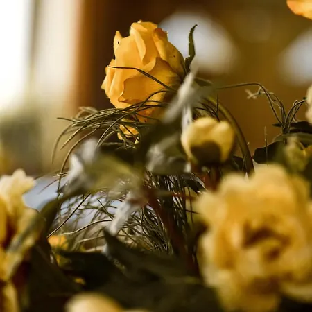 Bergwiesen - Mit Balkon Oder Terasse