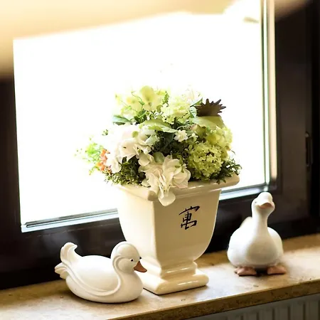 Bergwiesen - Mit Balkon Oder Terasse * Lohr