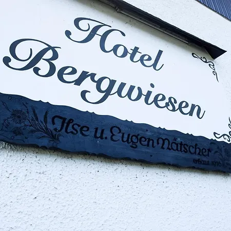 호텔 Bergwiesen - Mit Balkon Oder Terasse *