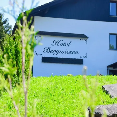 Hotel Bergwiesen - Mit Balkon Oder Terasse *