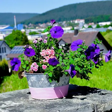 Bergwiesen - Mit Balkon Oder Terasse *